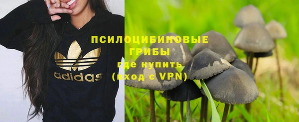прущие крисы Аркадак