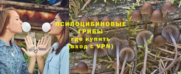 хмурый Армянск