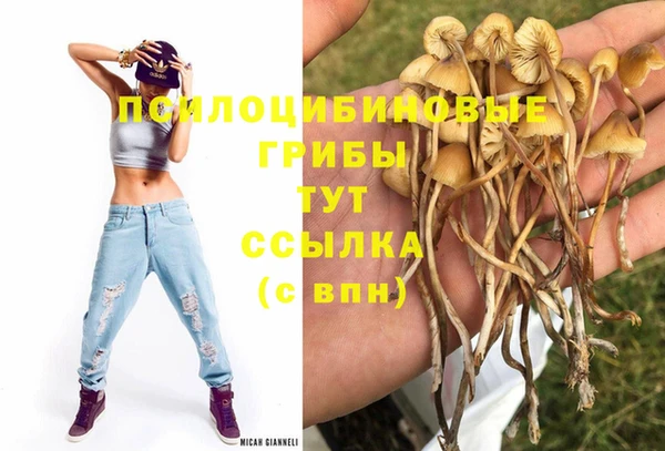 прущие крисы Аркадак