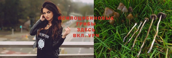 ГАЛЛЮЦИНОГЕННЫЕ ГРИБЫ Арсеньев